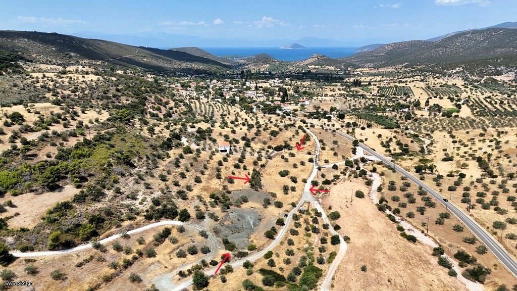 Αγροτεμάχια 8.509 τ.μ. πρός πώληση, Αργολίδα, Κρανίδι