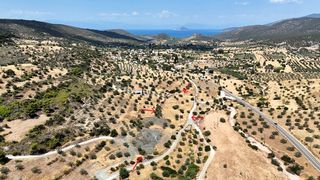 Αγροτεμάχια 8.509 τ.μ. για πώληση