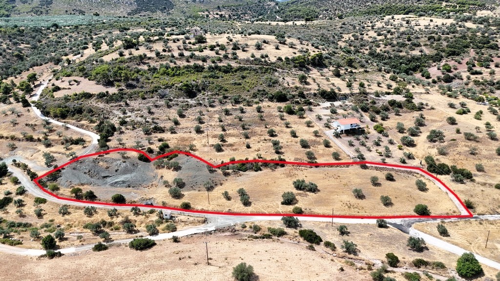 Αγροτεμάχια 8.509 τ.μ. πρός πώληση, Αργολίδα, Κρανίδι