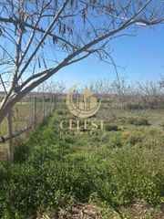 Οικόπεδο 993 τ.μ. για πώληση, Ν. Καβάλας, Κεραμωτή-thumb-4