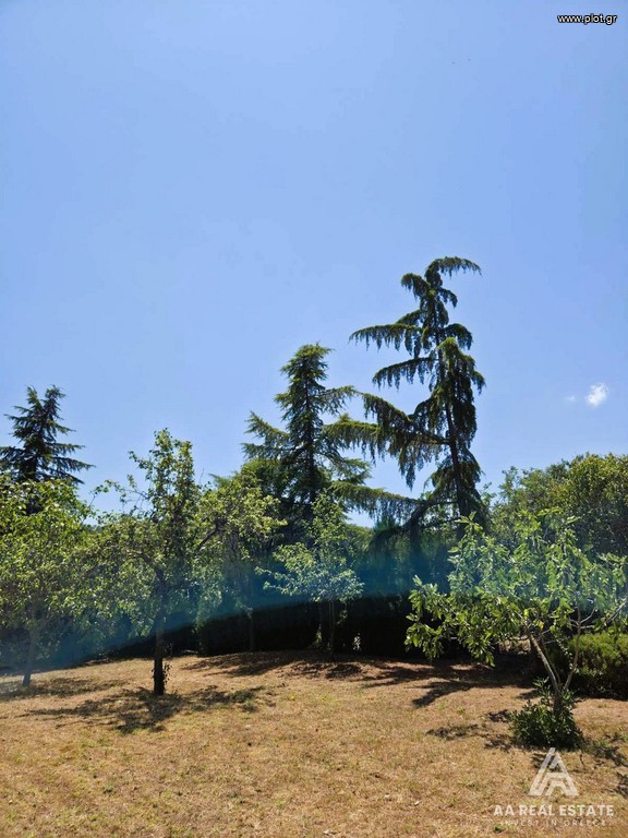 Μονοκατοικία 320 τ.μ. πρός πώληση, Θεσσαλονίκη - Περιφ/Κοί Δήμοι, Μυγδονία