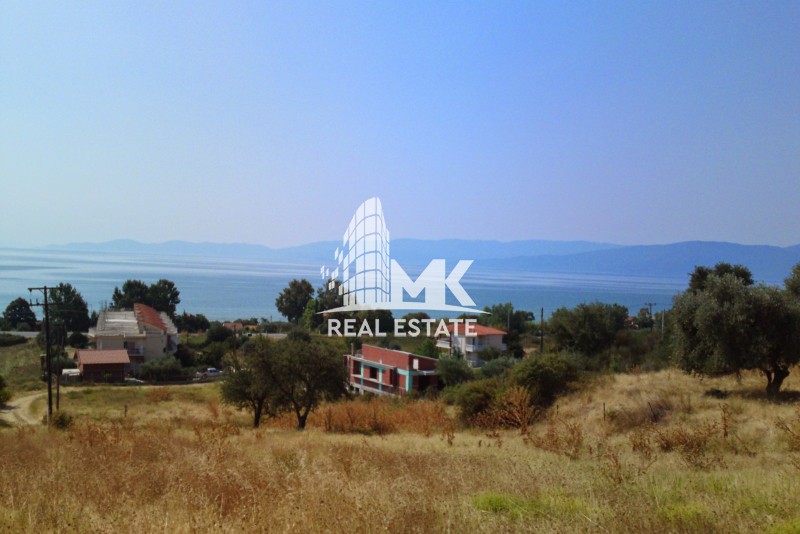 Οικόπεδο 6.422 τ.μ. πρός πώληση, Ν. Σερρών, Αμφίπολη