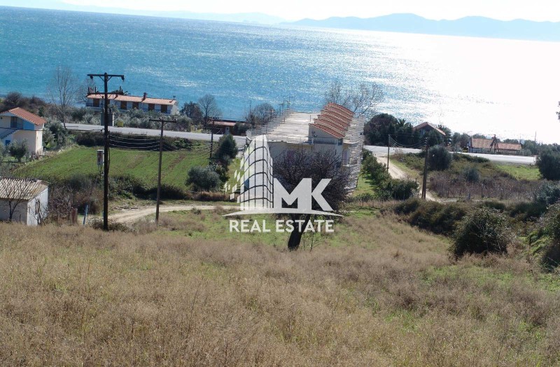 Οικόπεδο 6.422 τ.μ. πρός πώληση, Ν. Σερρών, Αμφίπολη