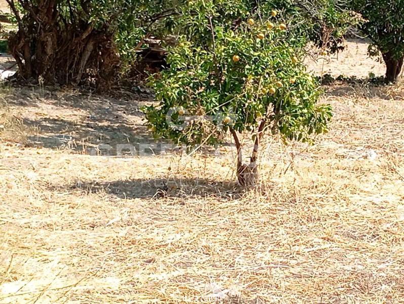 Οικόπεδο 485 τ.μ. προς πώληση, Μερτικαίικα