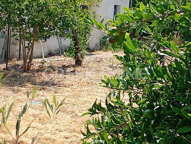 Οικόπεδο 485 τ.μ. προς πώληση, Μερτικαίικα
