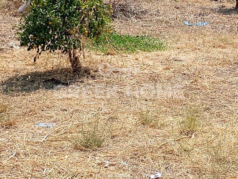 Οικόπεδο 485 τ.μ. προς πώληση, Μερτικαίικα