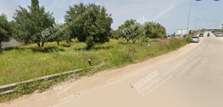 Αγροτεμάχια 2.306,70 τ.μ. προς ενοικίαση, Κορωπί