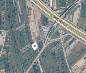 Αγροτεμάχια 2.306,70 τ.μ. για ενοικίαση
