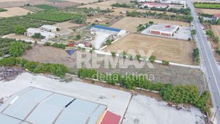 Αγροτεμάχια 6.174 τ.μ. για ενοικίαση, Ν. Λάρισας, Γιαννούλη-thumb-11