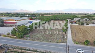Αγροτεμάχια 6.174 τ.μ. για ενοικίαση, Ν. Λάρισας, Γιαννούλη-thumb-13