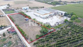 Αγροτεμάχια 6.174 τ.μ. για ενοικίαση, Ν. Λάρισας, Γιαννούλη-thumb-5
