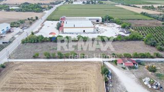 Αγροτεμάχια 6.174 τ.μ. για ενοικίαση, Ν. Λάρισας, Γιαννούλη-thumb-7