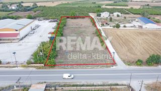 Αγροτεμάχια 6.174 τ.μ. για ενοικίαση, Ν. Λάρισας, Γιαννούλη-thumb-6