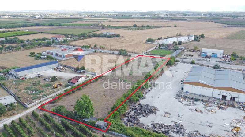 Αγροτεμάχια 6.174 τ.μ. πρός ενοικίαση, Ν. Λάρισας, Γιαννούλη