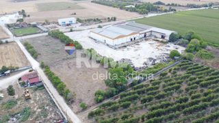 Αγροτεμάχια 6.174 τ.μ. για ενοικίαση, Ν. Λάρισας, Γιαννούλη-thumb-12