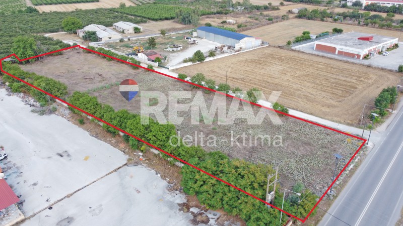 Αγροτεμάχια 6.174 τ.μ. πρός ενοικίαση, Ν. Λάρισας, Γιαννούλη