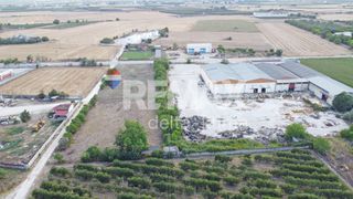 Αγροτεμάχια 6.174 τ.μ. για ενοικίαση, Ν. Λάρισας, Γιαννούλη-thumb-8