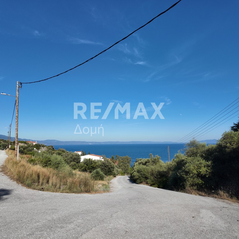 Οικόπεδο 581 τ.μ. προς πώληση, Νέες Παγασές