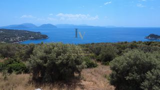 Αγροτεμάχια 6.325 τ.μ. για πώληση