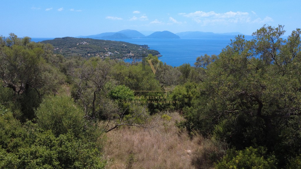 Αγροτεμάχια 6.325 τ.μ. προς πώληση, Απολλώνιο