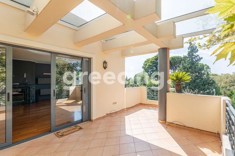 Apartment 184 sqm for rent