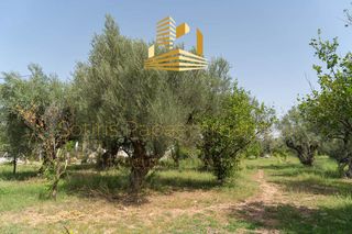 Οικόπεδο 4.220 τ.μ. προς πώληση, Αίγιο-thumb-12