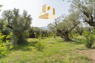 Οικόπεδο 4.220 τ.μ. προς πώληση, Αίγιο-thumb-6