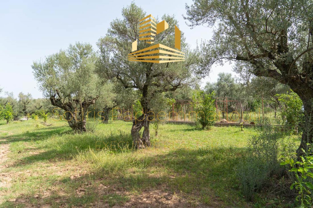 Οικόπεδο 4.220 τ.μ. προς πώληση, Αίγιο