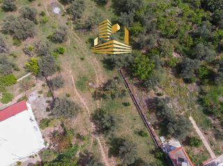 Οικόπεδο 4.220 τ.μ. προς πώληση, Αίγιο-thumb-15