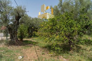 Οικόπεδο 4.220 τ.μ. προς πώληση, Αίγιο-thumb-25