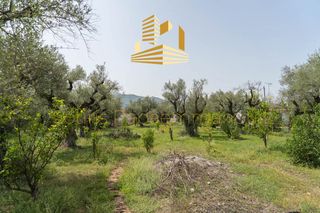 Οικόπεδο 4.220 τ.μ. προς πώληση, Αίγιο-thumb-7
