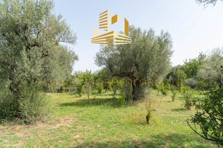 Οικόπεδο 4.220 τ.μ. προς πώληση, Αίγιο-thumb-26
