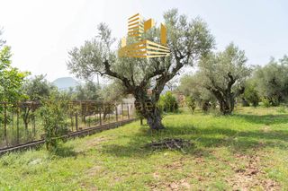 Οικόπεδο 4.220 τ.μ. προς πώληση, Αίγιο-thumb-10