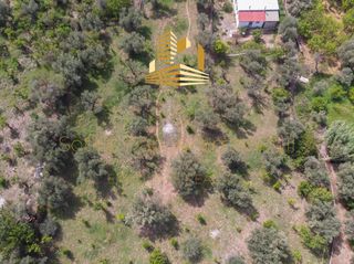 Οικόπεδο 4.220 τ.μ. προς πώληση, Αίγιο-thumb-20