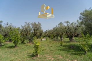 Οικόπεδο 4.220 τ.μ. προς πώληση, Αίγιο-thumb-11