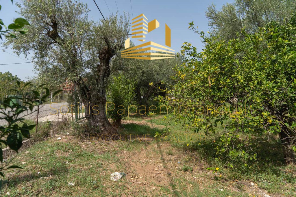 Οικόπεδο 4.220 τ.μ. για πώληση, Αχαΐα, Αίγιο