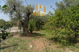 Οικόπεδο 4.220 τ.μ. για πώληση