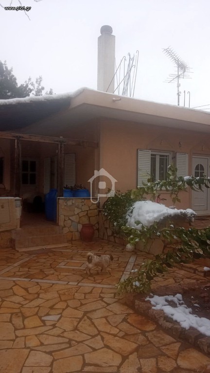 Μονοκατοικία 140 τ.μ. προς ενοικίαση, Μαλάκι Αλιάρτου