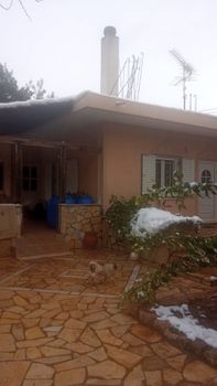 Detached home 140 sqm for rent