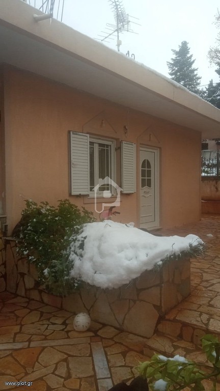 Μονοκατοικία 140 τ.μ. προς ενοικίαση, Μαλάκι Αλιάρτου