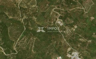 Αγροτεμάχια 596 τ.μ. προς πώληση, Ρούσα Εκκλησία-thumb-8