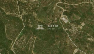 Αγροτεμάχια 596 τ.μ. προς πώληση, Ρούσα Εκκλησία-thumb-9