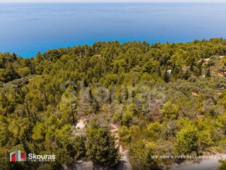 Αγροτεμάχια 4.734,41 τ.μ. για πώληση, Ν. Λευκάδας, Λευκάδα-thumb-6