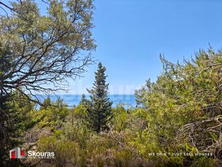 Αγροτεμάχια 4.734,41 τ.μ. για πώληση, Ν. Λευκάδας, Λευκάδα-thumb-13