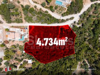 Αγροτεμάχια 4.734,41 τ.μ. για πώληση, Ν. Λευκάδας, Λευκάδα-thumb-2