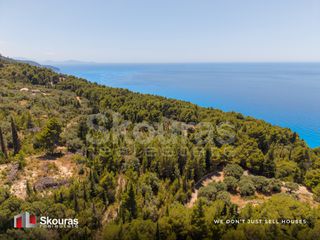 Αγροτεμάχια 4.734,41 τ.μ. για πώληση, Ν. Λευκάδας, Λευκάδα-thumb-7