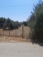 Οικόπεδο 2.033 τ.μ. για πώληση, Εύβοια, Αυλίδα-thumb-1