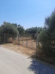 Οικόπεδο 2.033 τ.μ. για πώληση, Εύβοια, Αυλίδα-thumb-3
