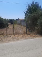 Οικόπεδο 2.033 τ.μ. για πώληση, Εύβοια, Αυλίδα-thumb-4