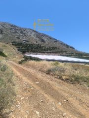 Οικόπεδο 22.000 τ.μ. για πώληση, Ν. Λασιθίου, Μακρύς Γιαλός-thumb-9